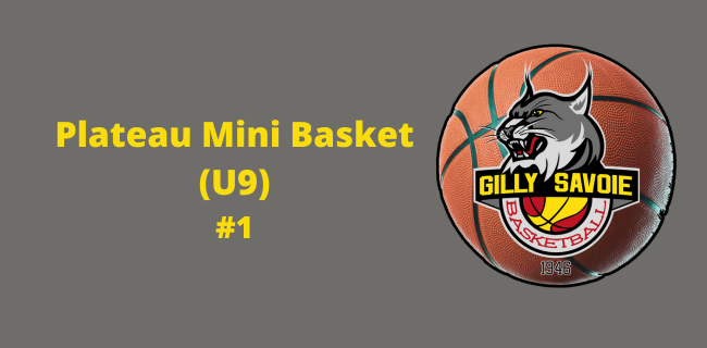 Plateau Mini Basket #1